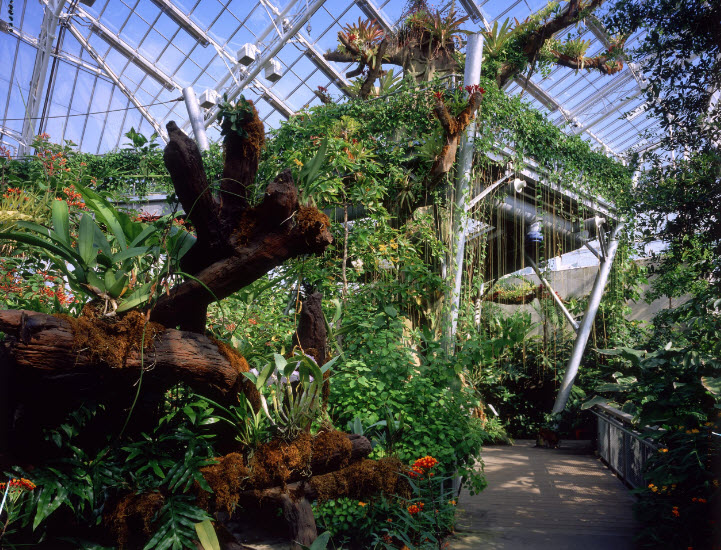 Cleveland Botanical Garden, United States